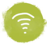 Wifi Wifi